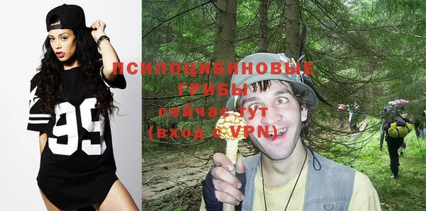 мяу мяу мука Абдулино