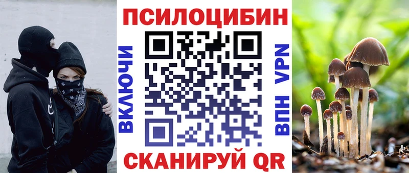 Псилоцибиновые грибы GOLDEN TEACHER  цены наркотик  Никольское 